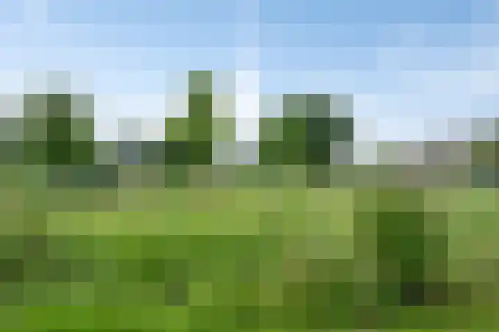Athenestraat 27 Hengelo thumbnail 34