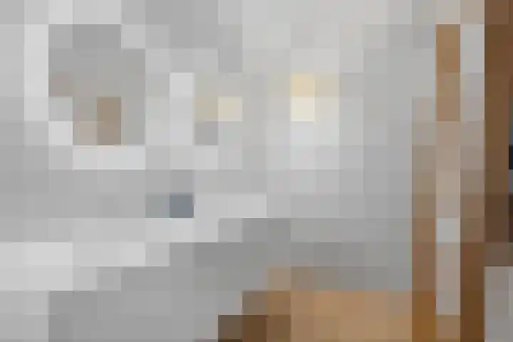Athenestraat 34 Utrecht thumbnail 39