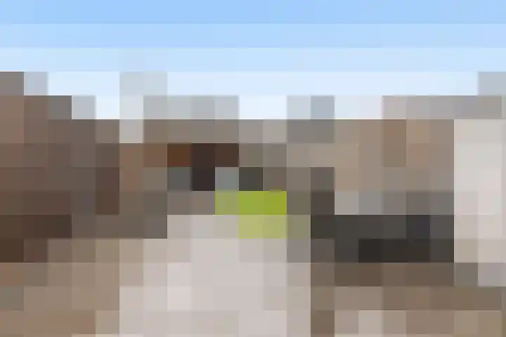 Athenestraat 5 Hengelo thumbnail 23