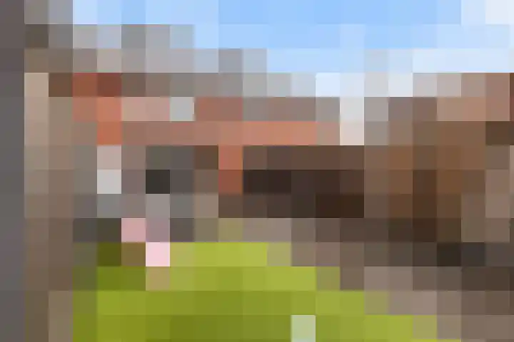 Athenestraat 5 Hengelo thumbnail 24