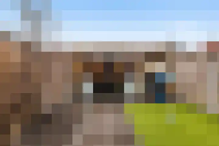 Athenestraat 5 Hengelo thumbnail 4