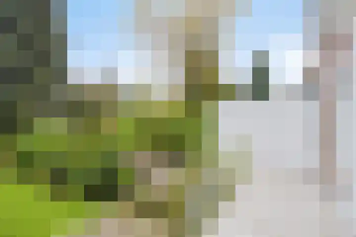 Athoslaan 49 Maastricht thumbnail 22