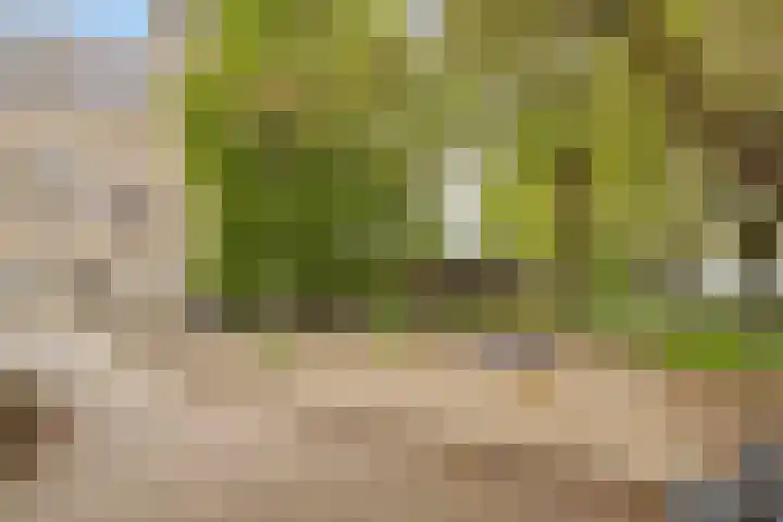 Athoslaan 49 Maastricht thumbnail 26