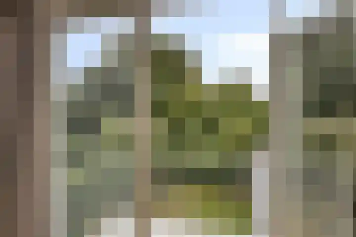 Athoslaan 73 Maastricht thumbnail 17