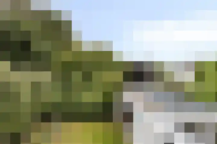 Athoslaan 73 Maastricht thumbnail 18