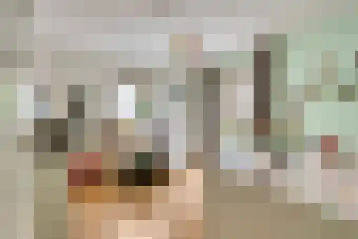 Athoslaan 73 Maastricht thumbnail 21