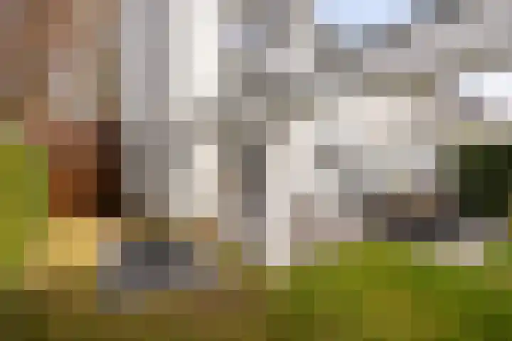 Athoslaan 73 Maastricht thumbnail 24