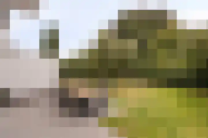 Athoslaan 73 Maastricht thumbnail 25