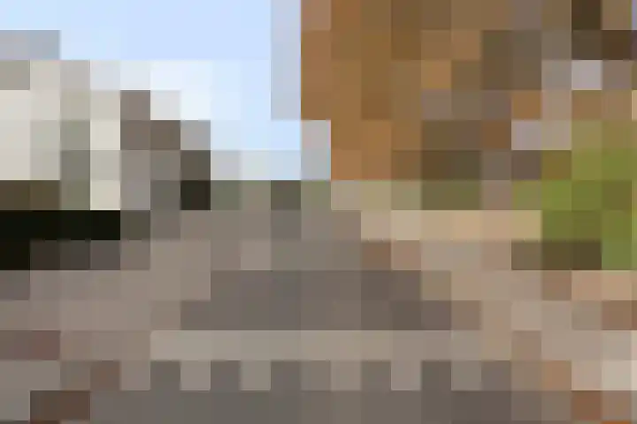 Athoslaan 73 Maastricht thumbnail 28
