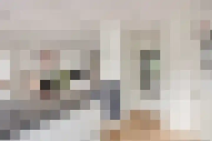 Athoslaan 73 Maastricht thumbnail 9