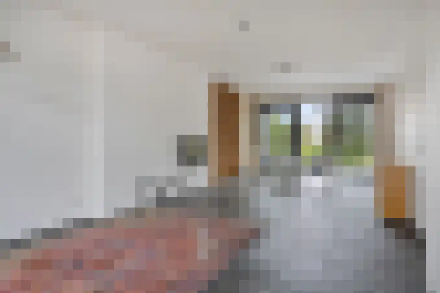 Athoslaan 93 Maastricht thumbnail 11