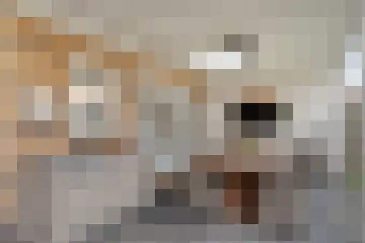 Atilla 48 Eindhoven thumbnail 39