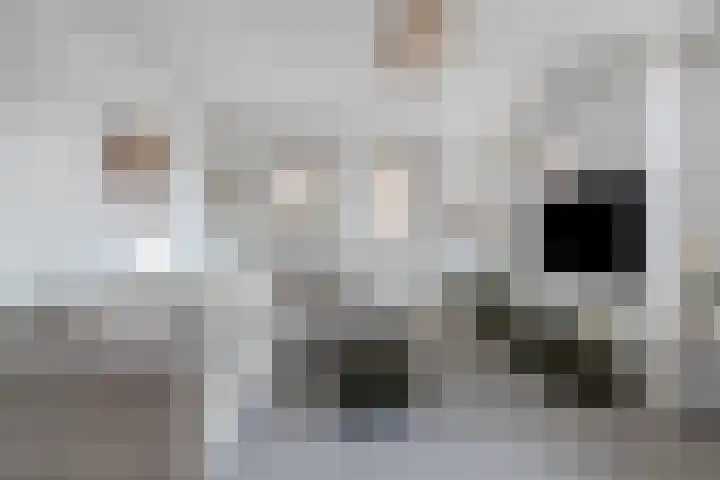 Atilla 48 Eindhoven thumbnail 6