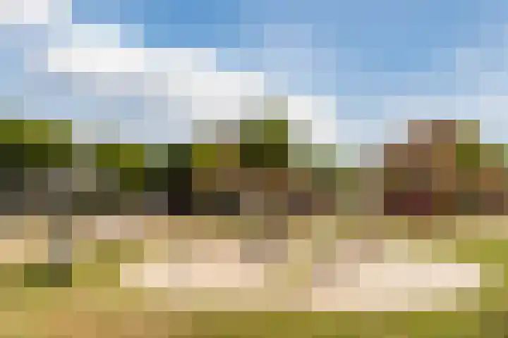 Atilla 56 Eindhoven thumbnail 37