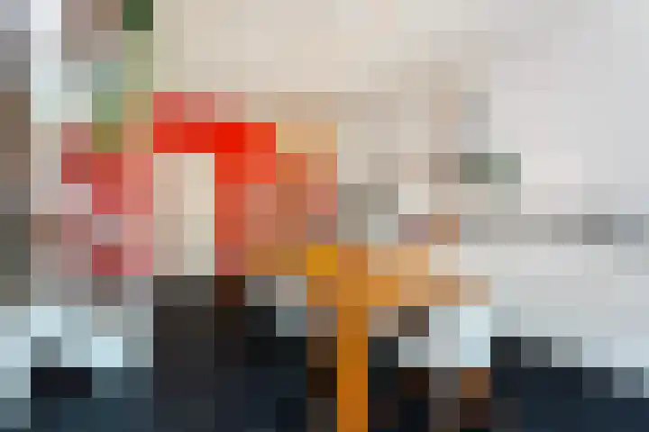 Atjehstraat 40 Rotterdam thumbnail 5