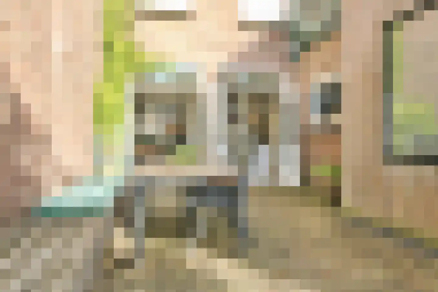 Atjehstraat 63 ZW Haarlem thumbnail 28