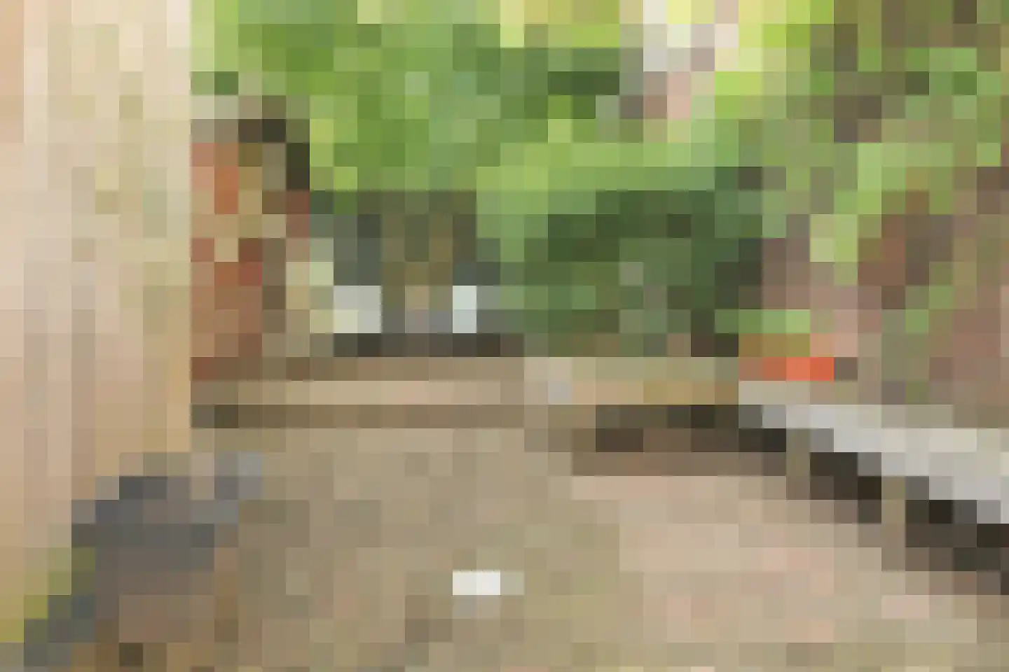 Atjehstraat 63 ZW Haarlem thumbnail 31
