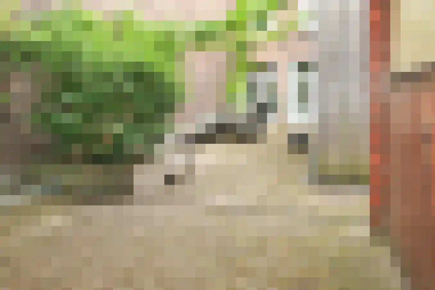 Atjehstraat 63 ZW Haarlem thumbnail 32