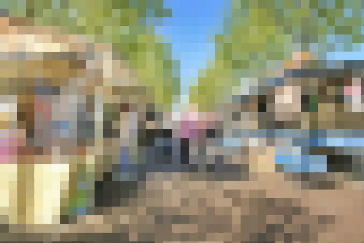 Atjehstraat 63 ZW Haarlem thumbnail 54