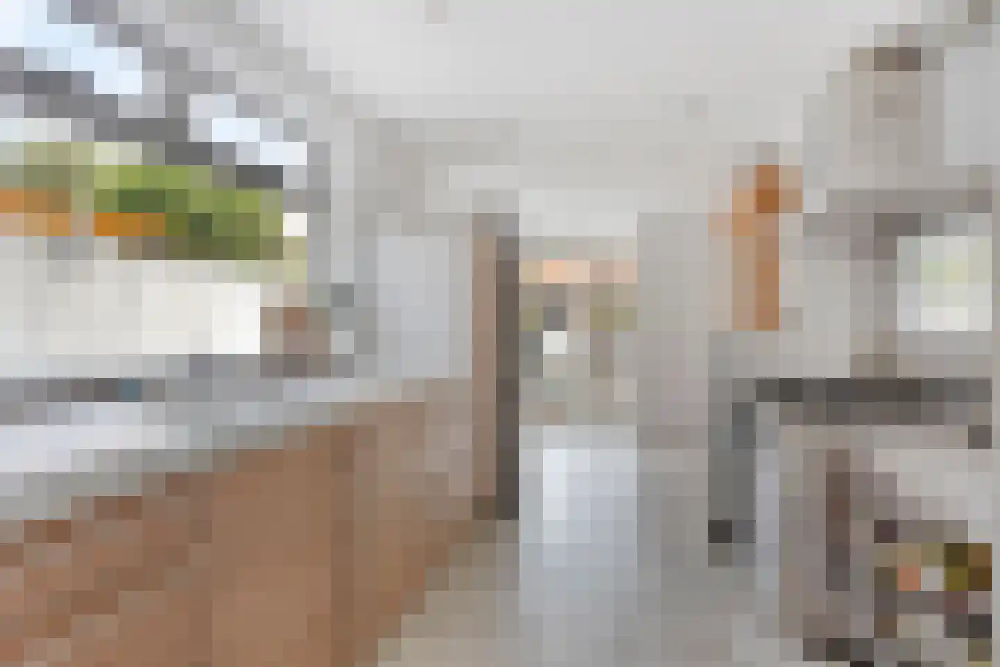 Atjehstraat 7 Tilburg thumbnail 10