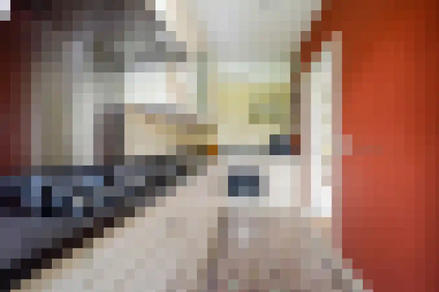 Atjehstraat 71 Haarlem thumbnail 16
