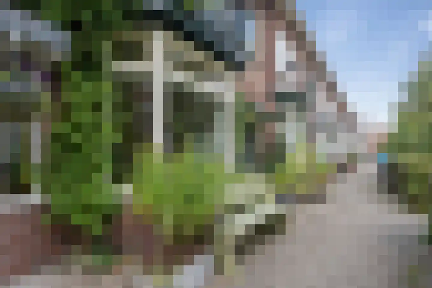 Atjehstraat 71 Haarlem thumbnail 63