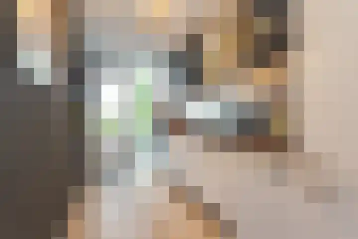 Atjehstraat 78 Rotterdam thumbnail 8
