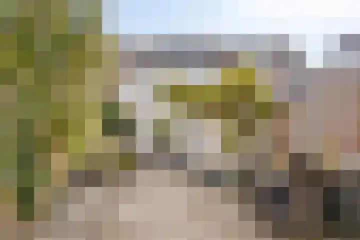 Atjehstraat 83 Haarlem thumbnail 37