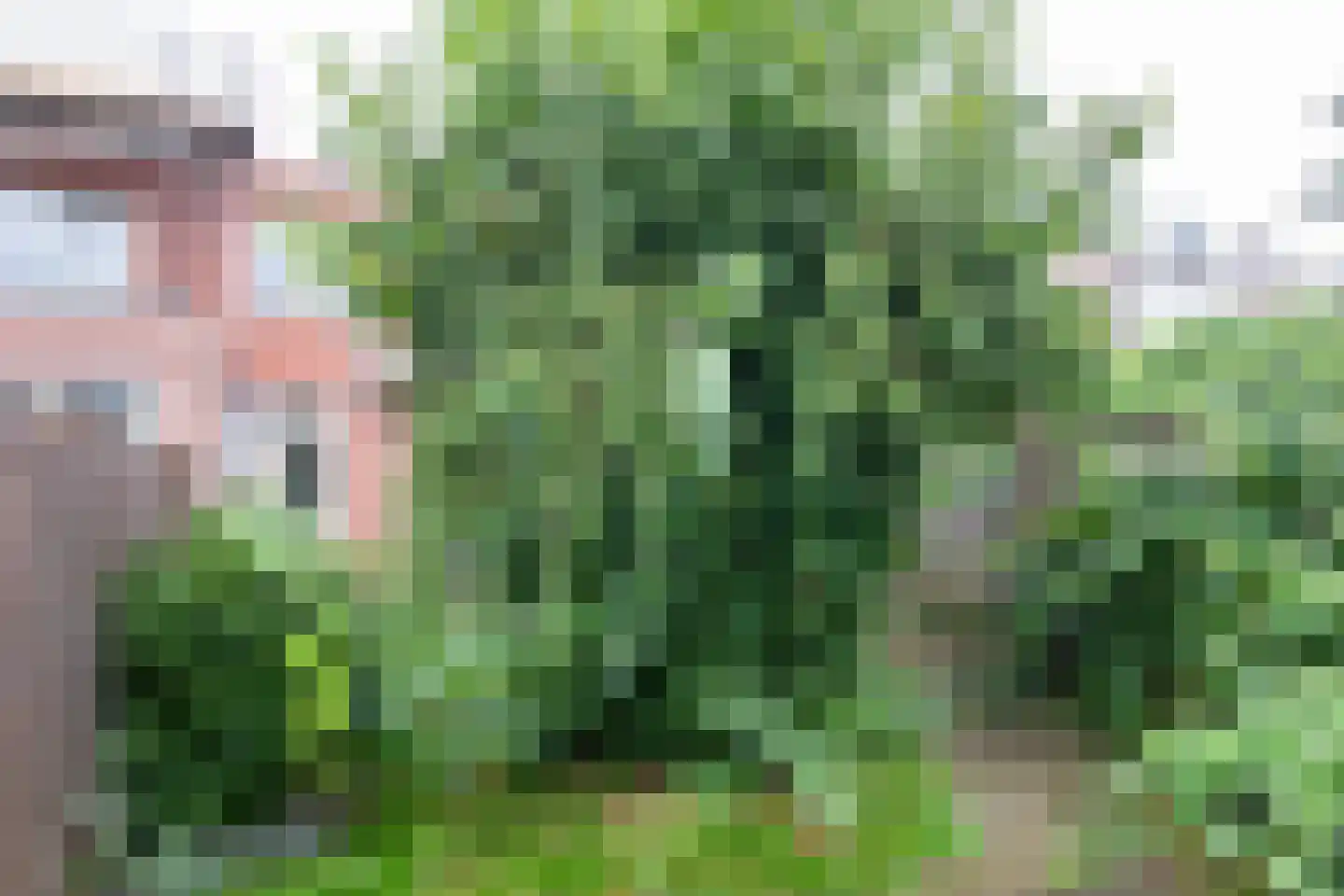 Atjehstraat 91 Haarlem thumbnail 22