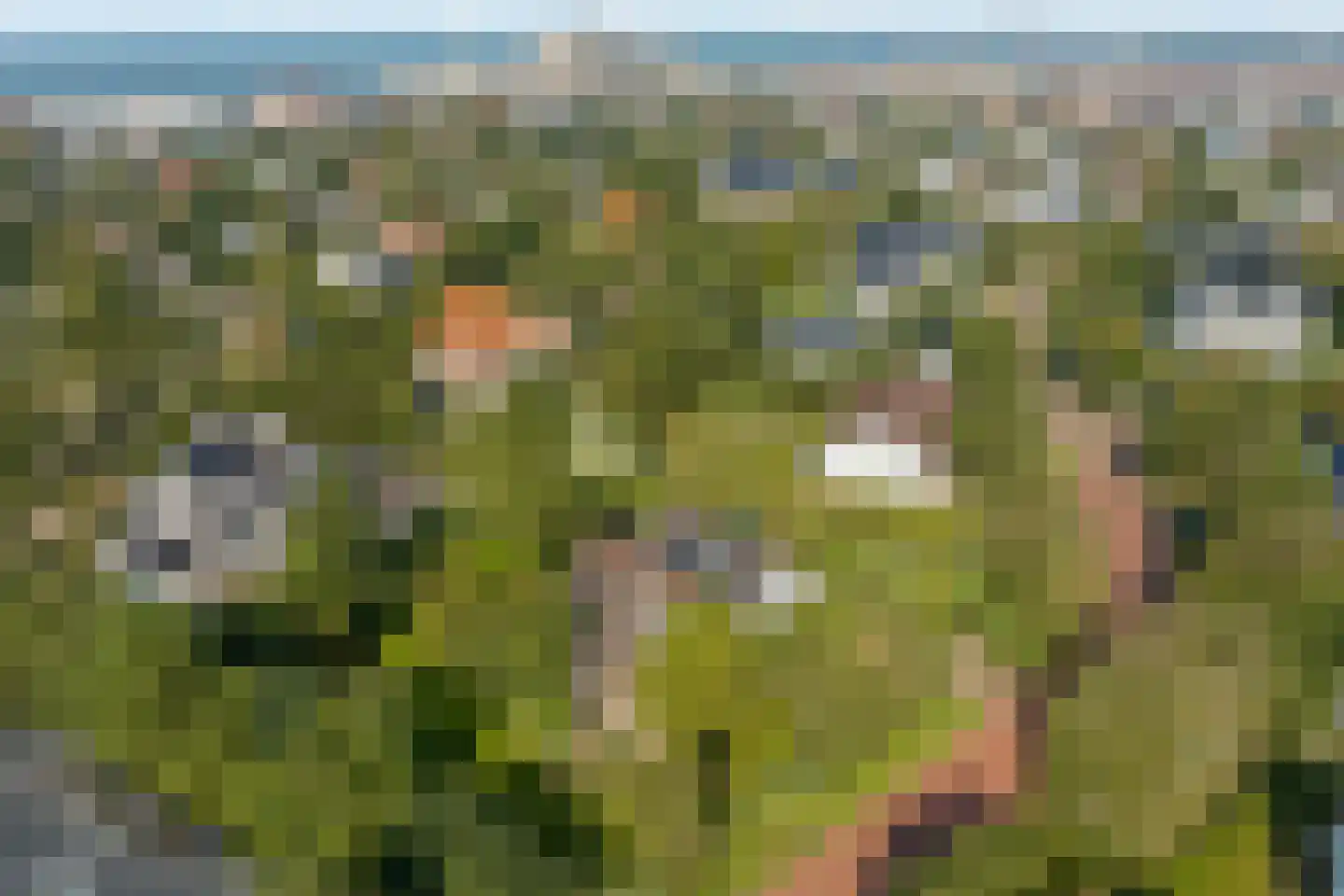 Atjehweg 16 in Noordwijk
