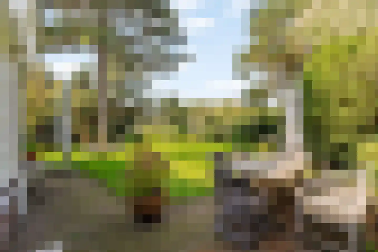 Atjehweg 16 Noordwijk thumbnail 13