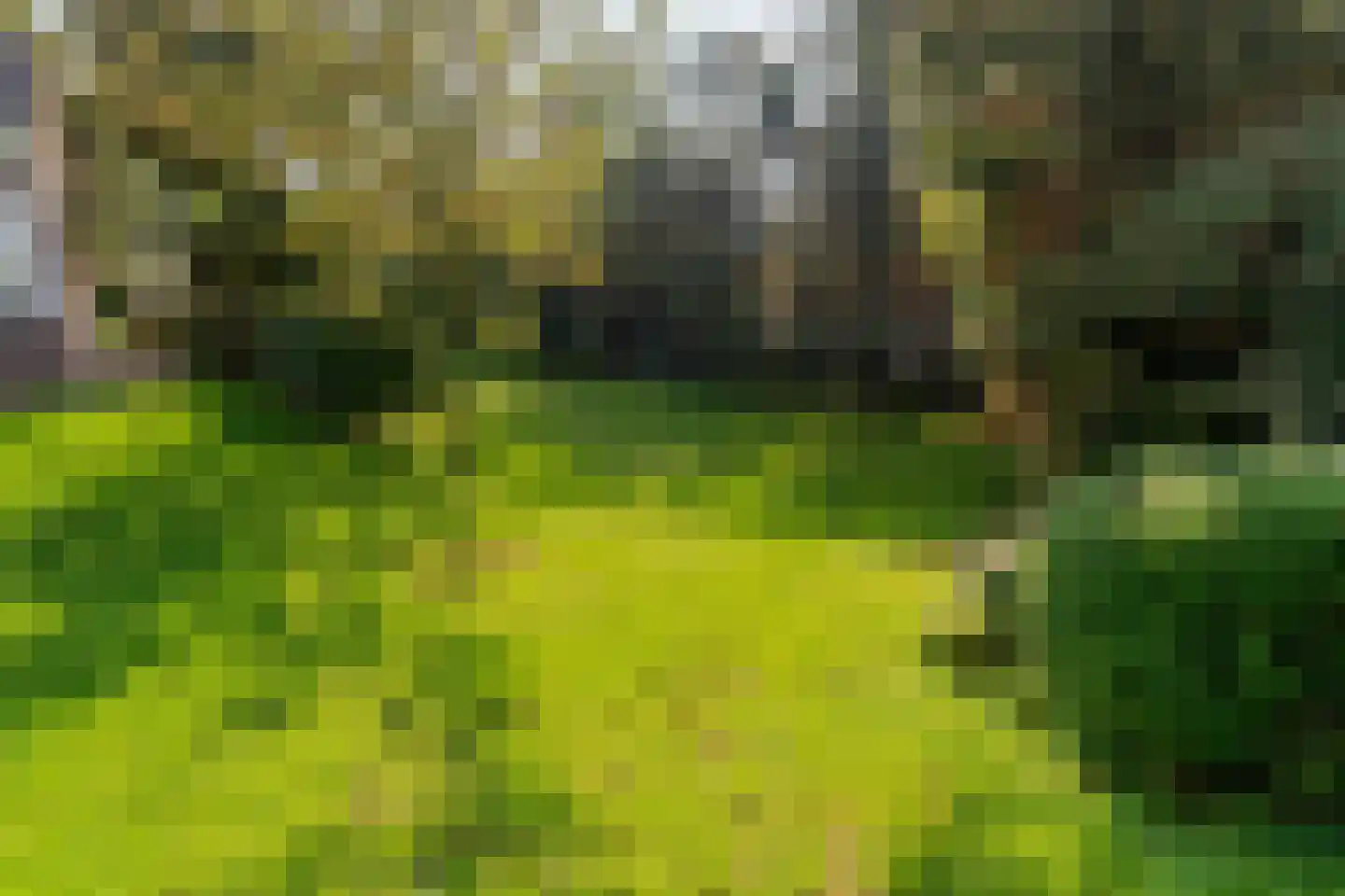 Atjehweg 16 Noordwijk thumbnail 16