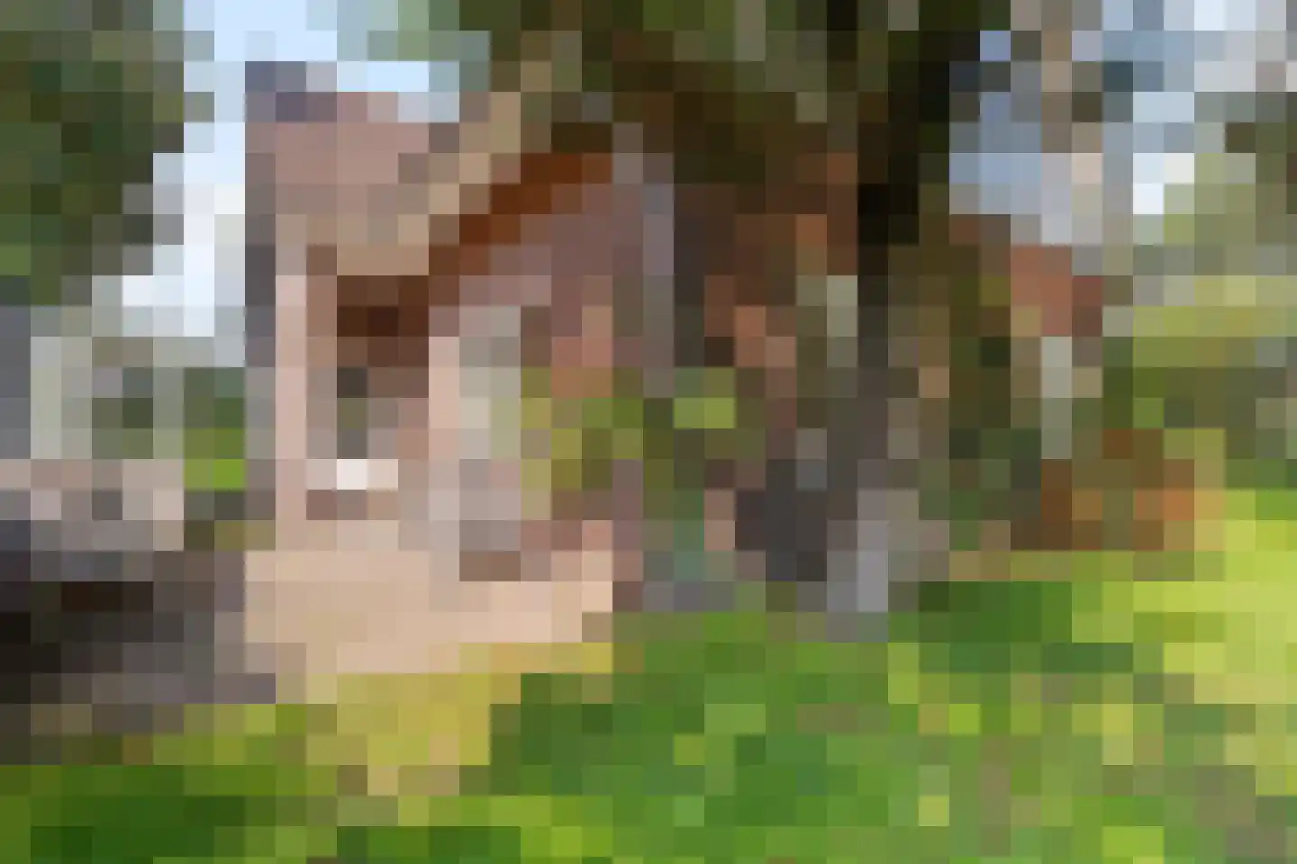 Atjehweg 16 Noordwijk thumbnail 18