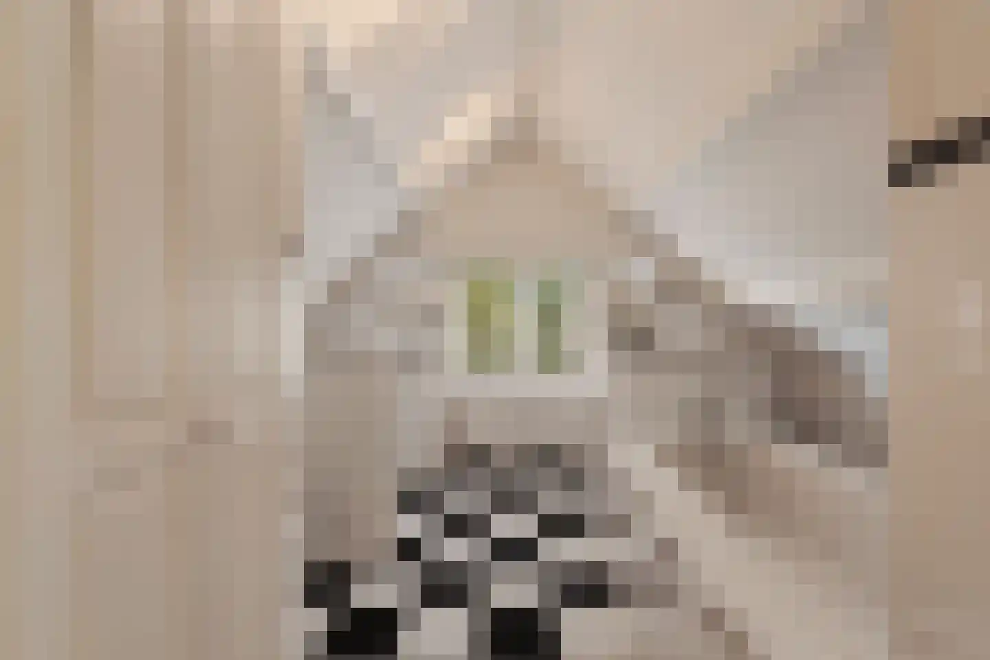 Atjehweg 16 Noordwijk thumbnail 40