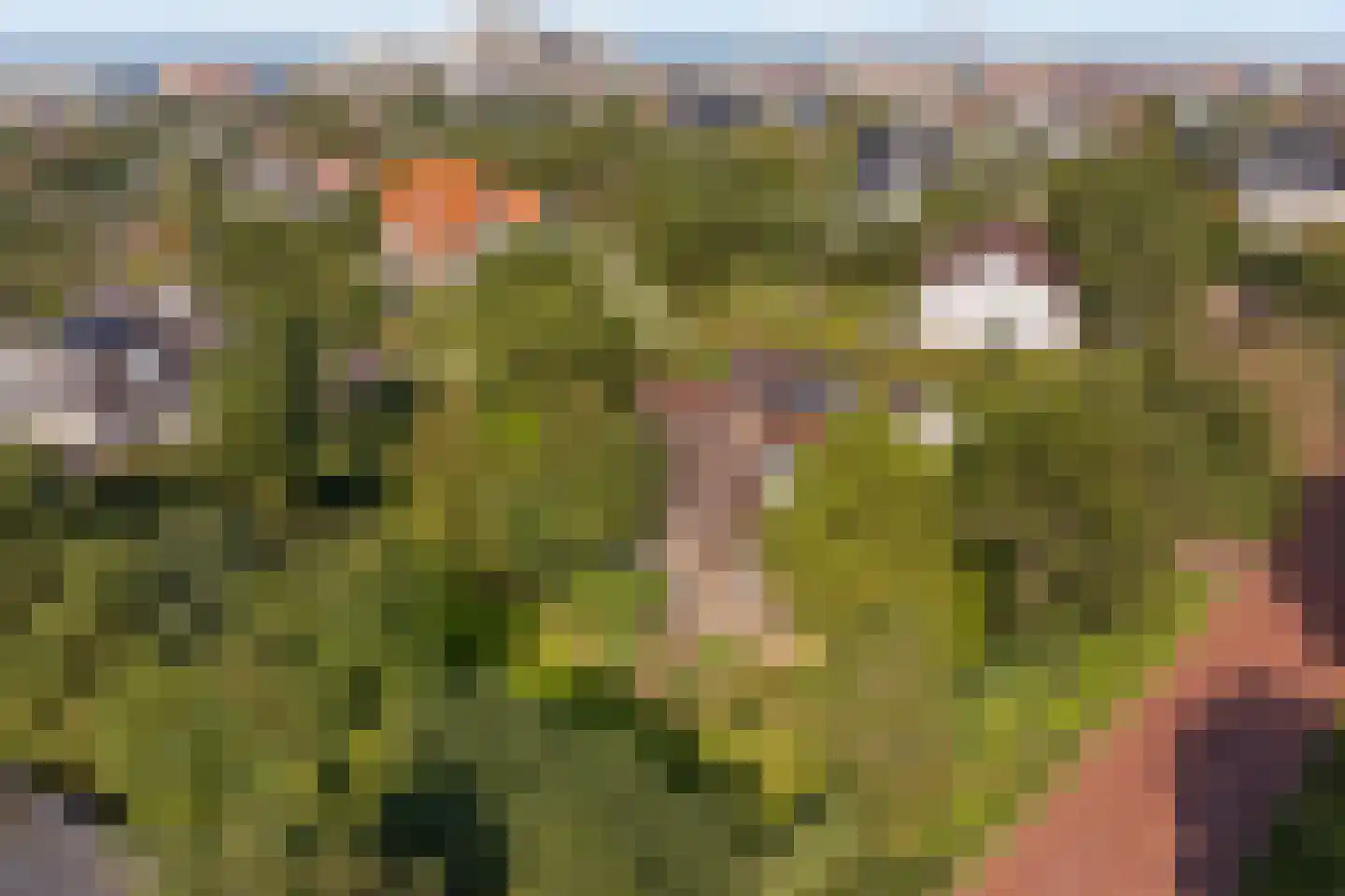 Atjehweg 16 Noordwijk thumbnail 49
