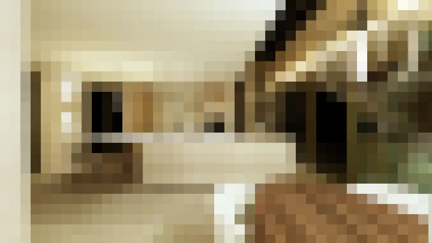 Atjehweg 7 Noordwijk thumbnail 22
