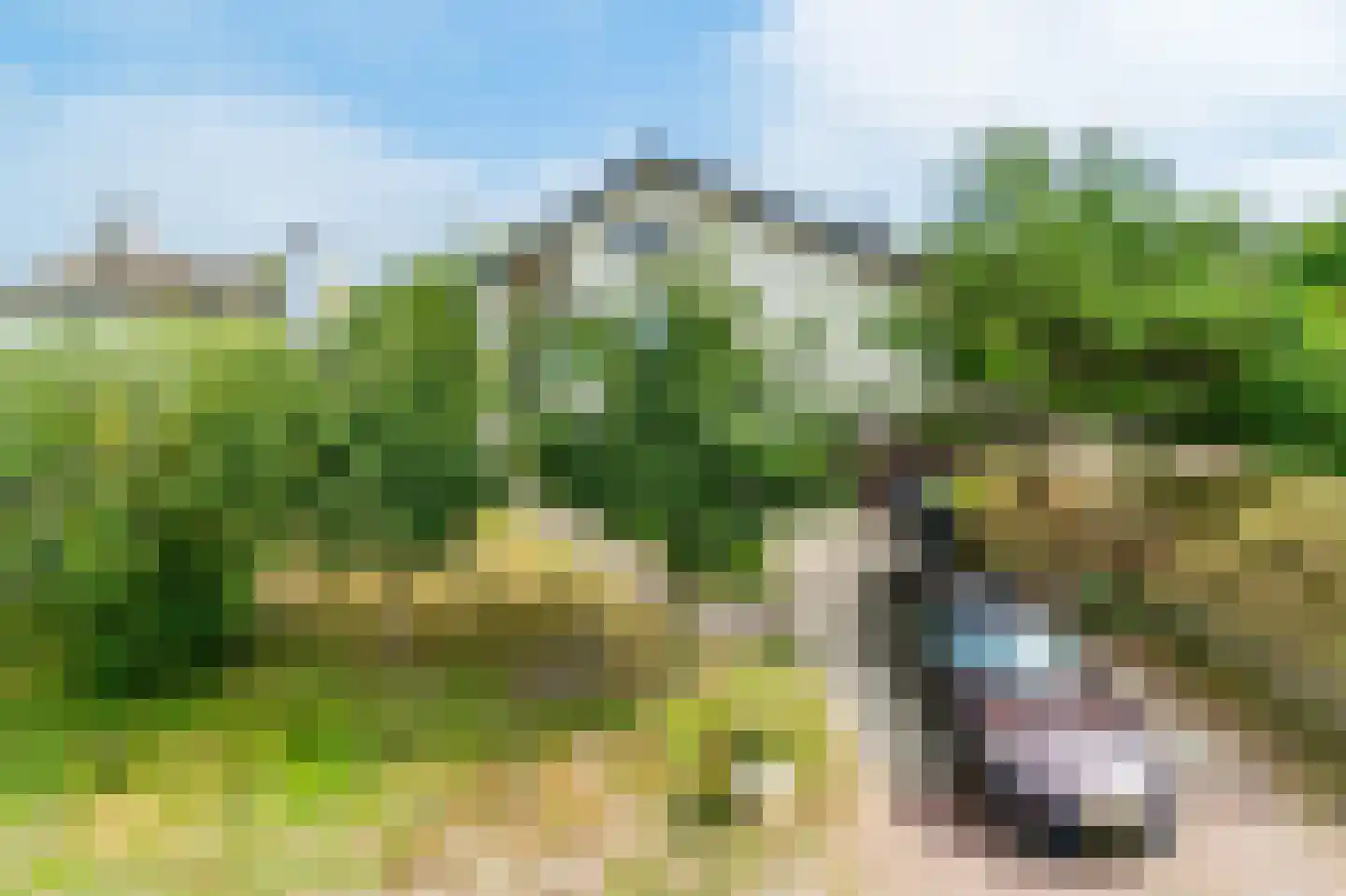 Atjehweg 7 Noordwijk thumbnail 48