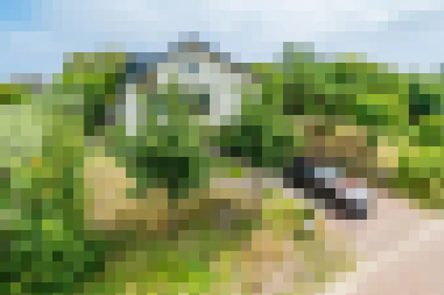 Atjehweg 7 Noordwijk thumbnail 49