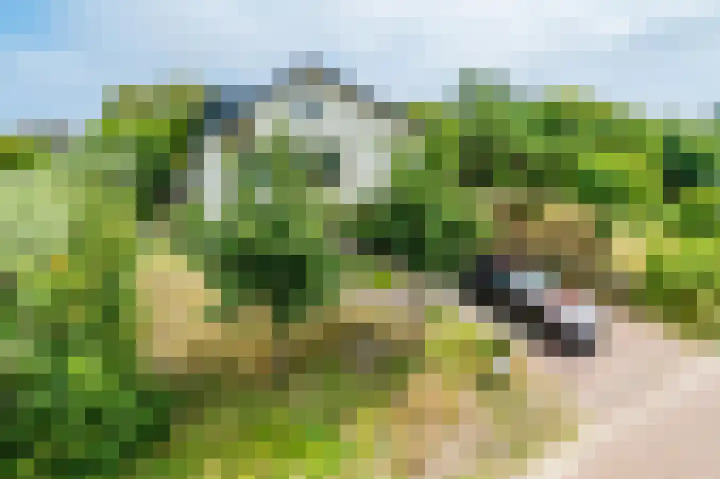 Atjehweg 7 Noordwijk thumbnail 49
