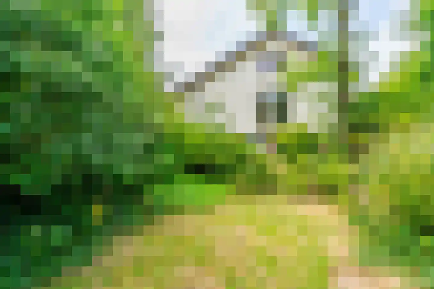 Atjehweg 7 Noordwijk thumbnail 56