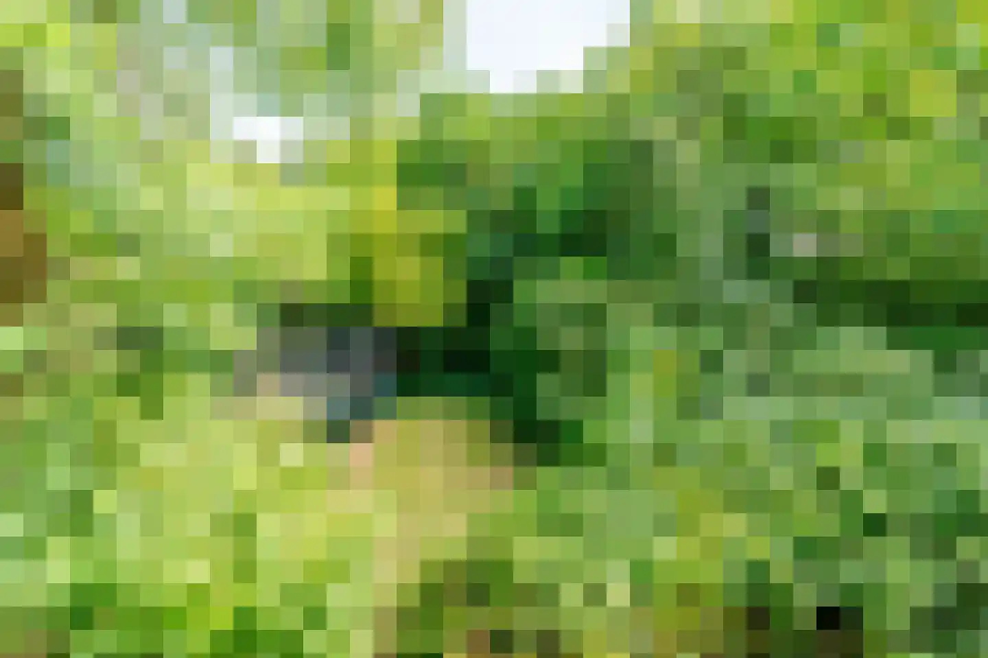 Atjehweg 7 Noordwijk thumbnail 60