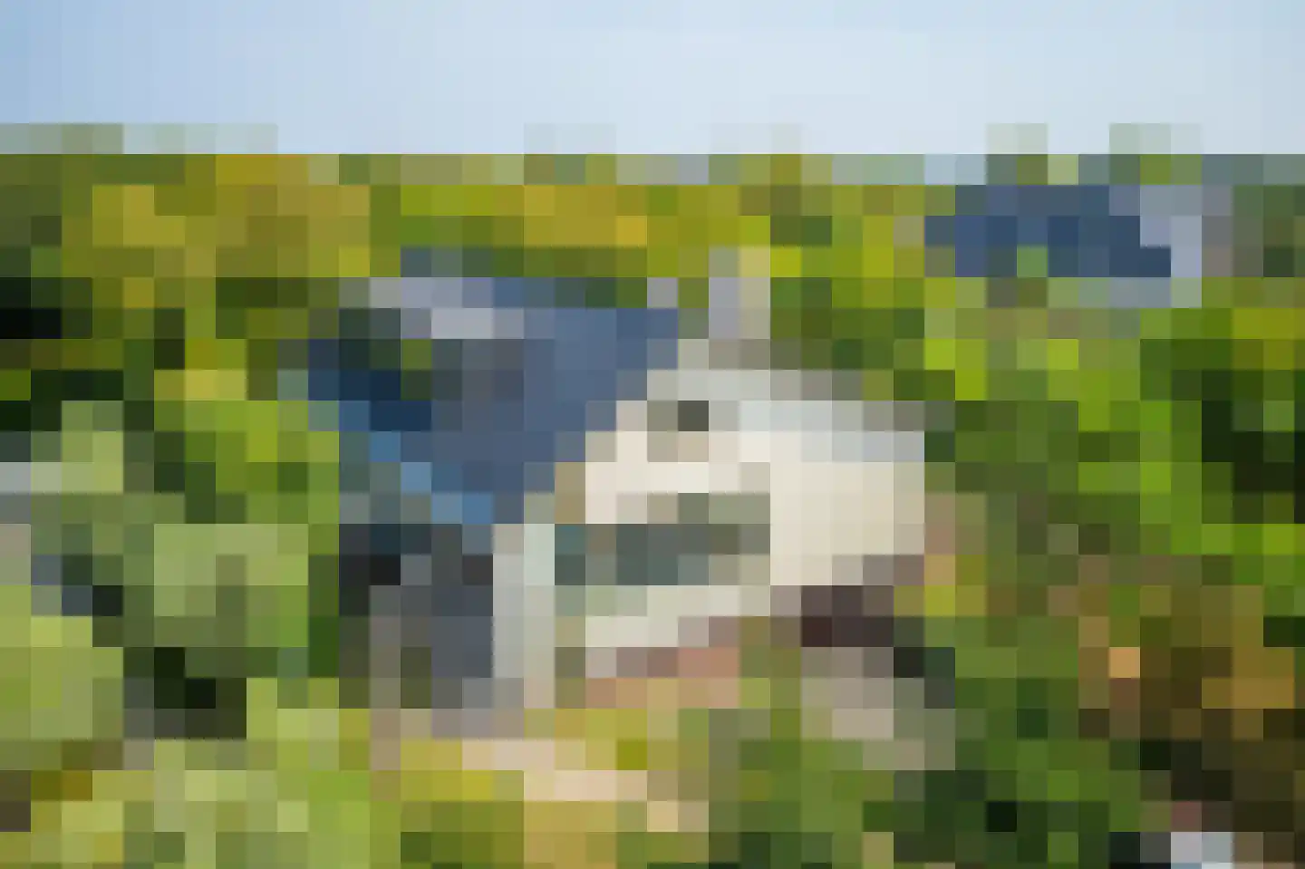 Atjehweg 7 Noordwijk thumbnail 63