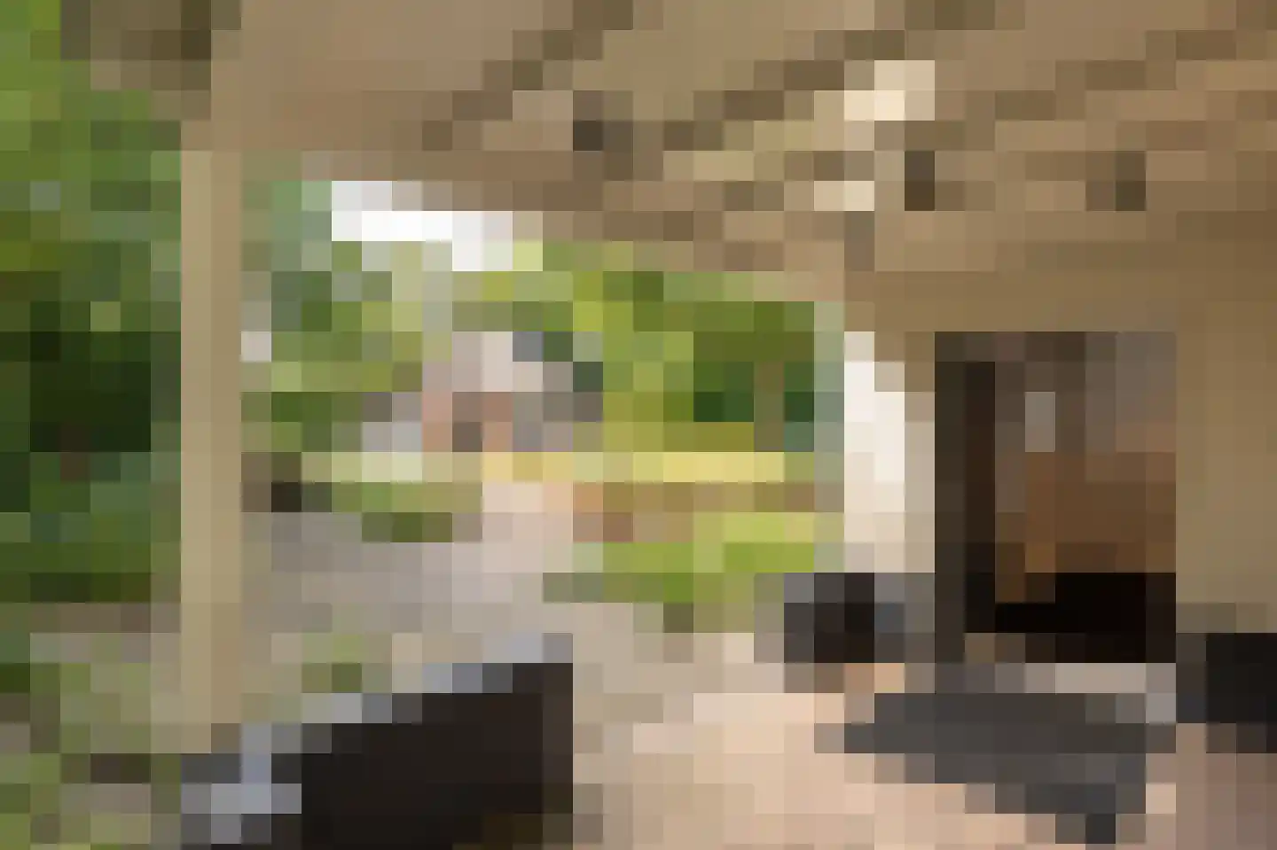 Atjehweg 9 Noordwijk thumbnail 27