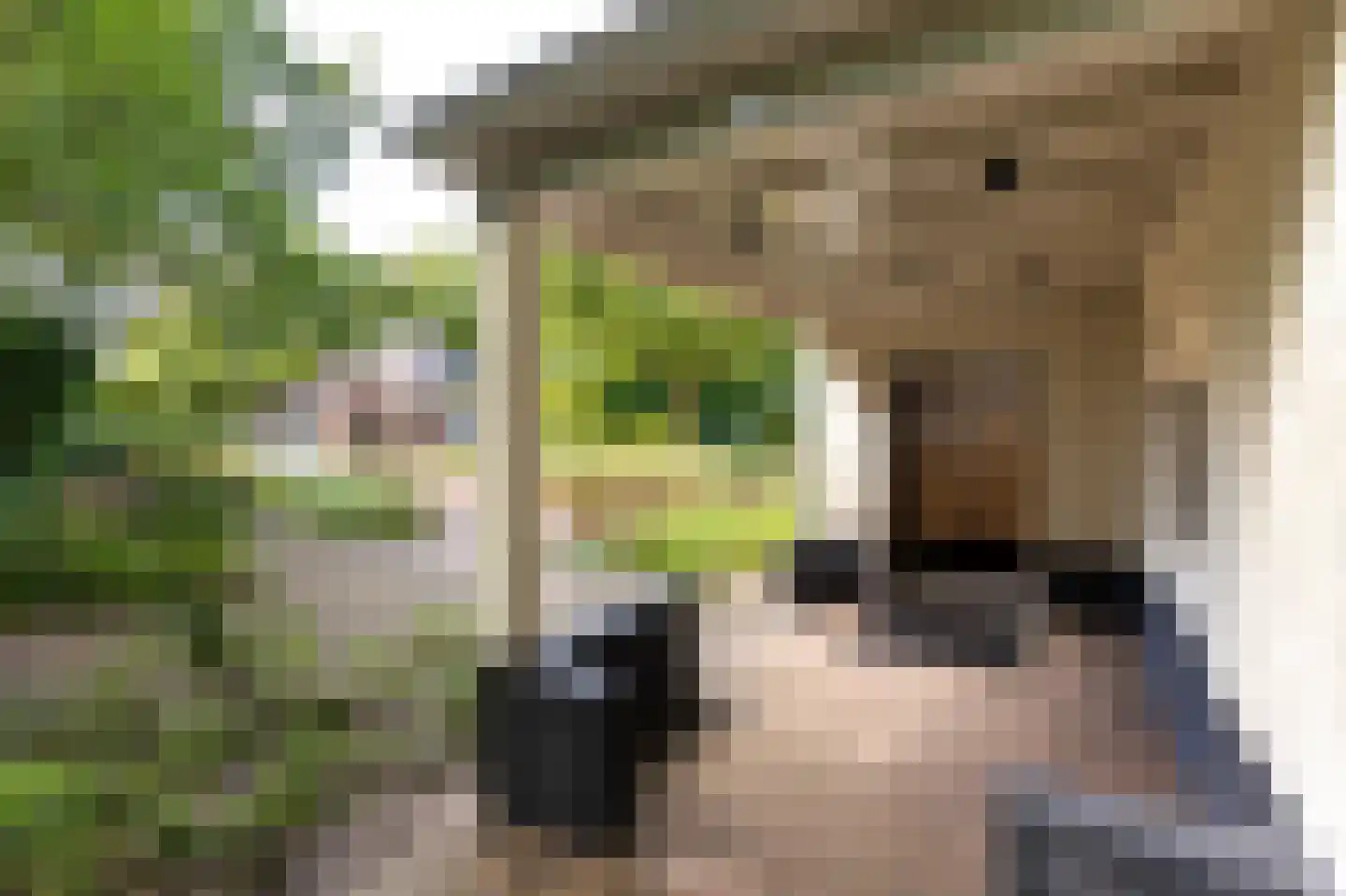 Atjehweg 9 Noordwijk thumbnail 28