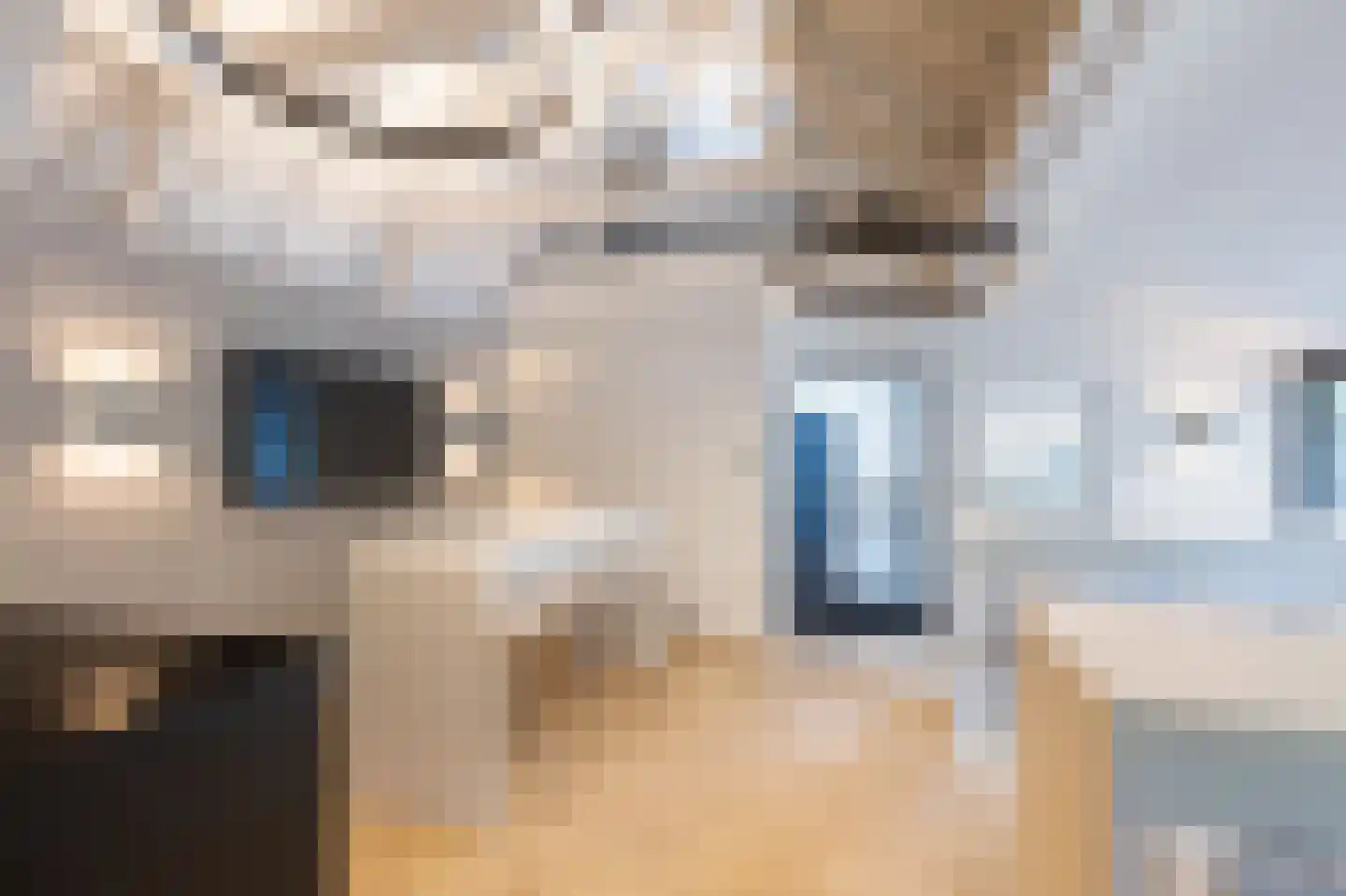 Atjehweg 9 Noordwijk thumbnail 33