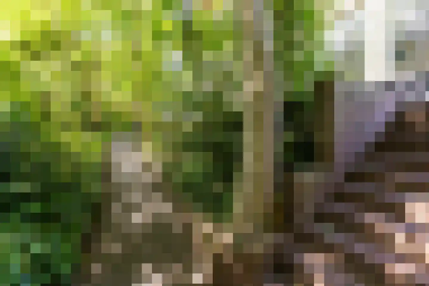 Atjehweg 9 Noordwijk thumbnail 41