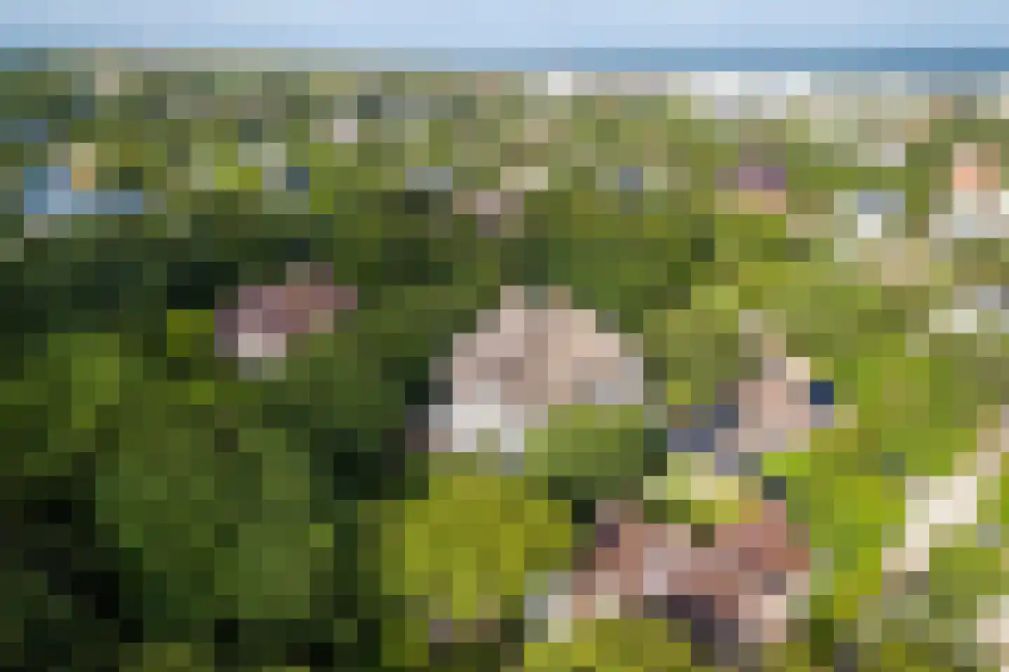 Atjehweg 9 Noordwijk thumbnail 42