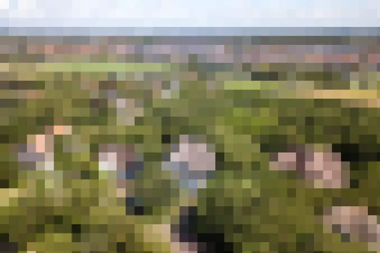 Atjehweg 9 Noordwijk thumbnail 44