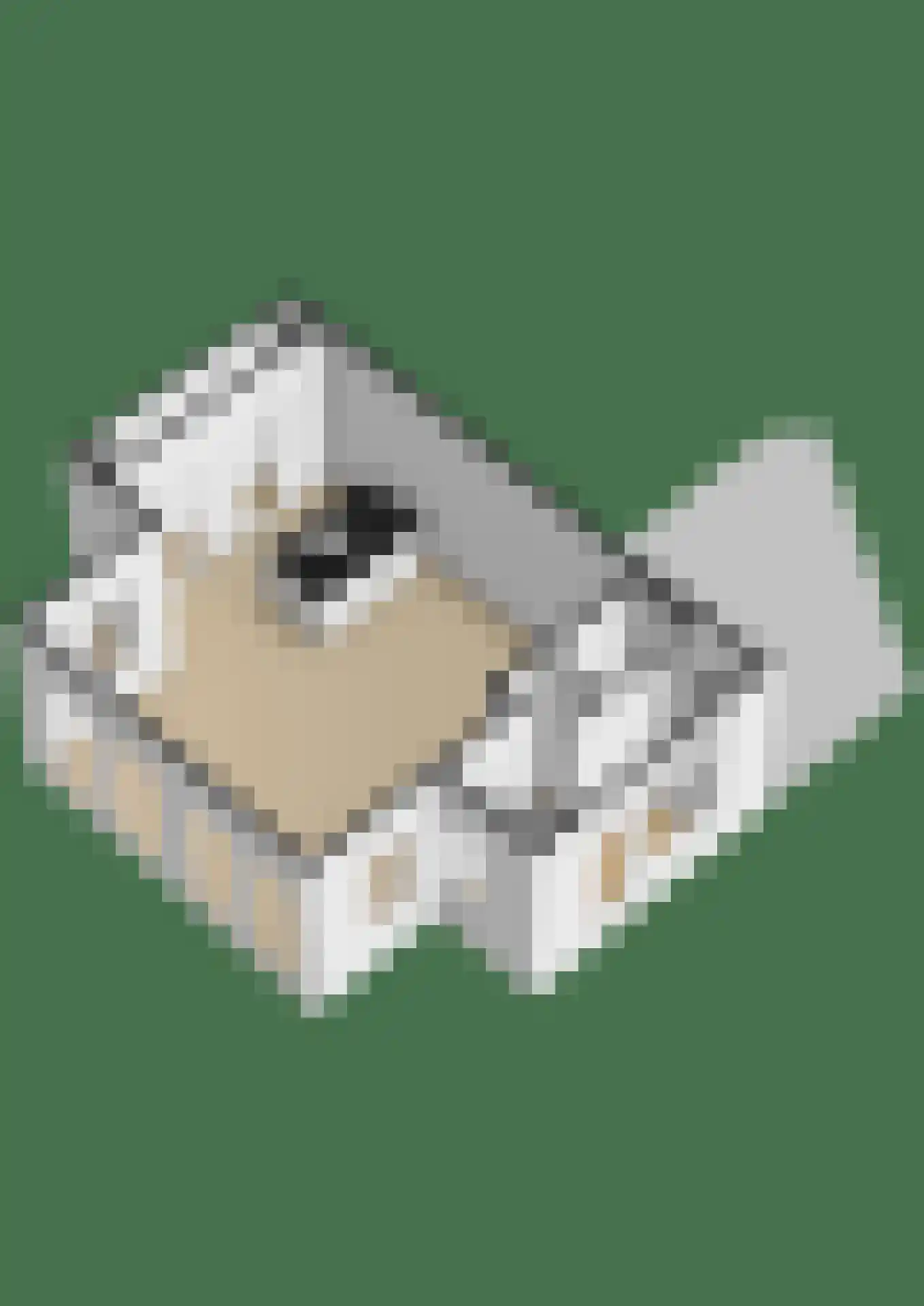 Atjehweg 9 Noordwijk thumbnail 56