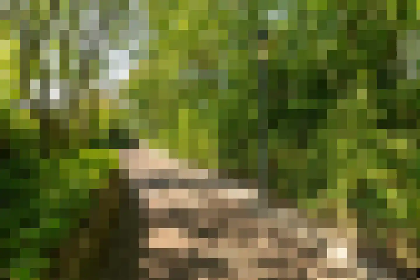 Atjehweg 9 Noordwijk thumbnail 7